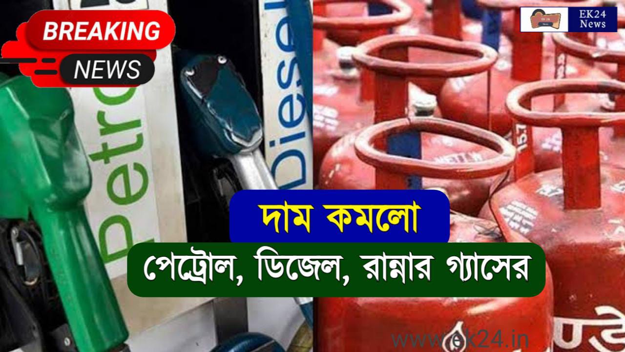 Petrol Diesel Gas Price